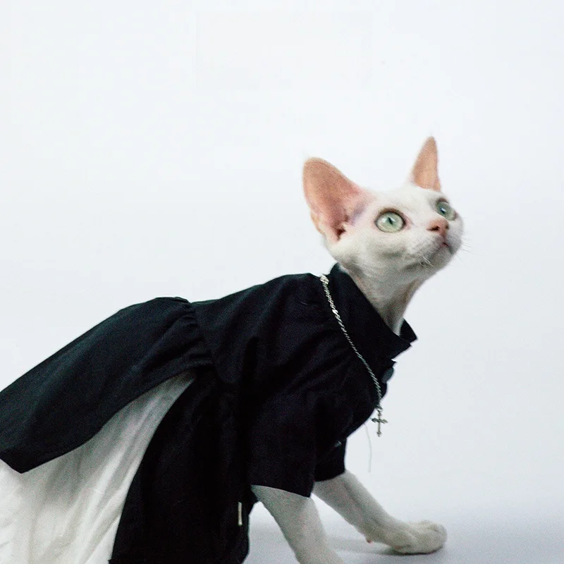 ジェラピケ猫の魅力を味わうには、どんな猫の服がおすすめ？