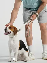 ペット用軽量合金カラー＆伸縮リード【大型犬・中型犬・小型犬用・外出用】