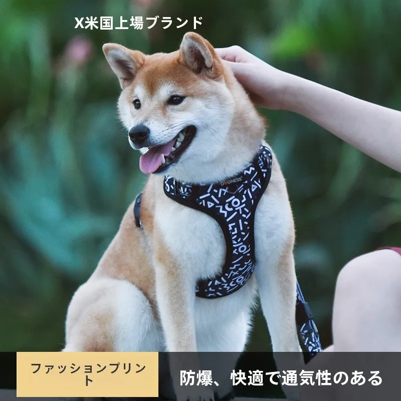 犬のお散歩グッズをコスパ良く揃える方法｜防爆設計で成長に合わせて使い続ける完全ガイド