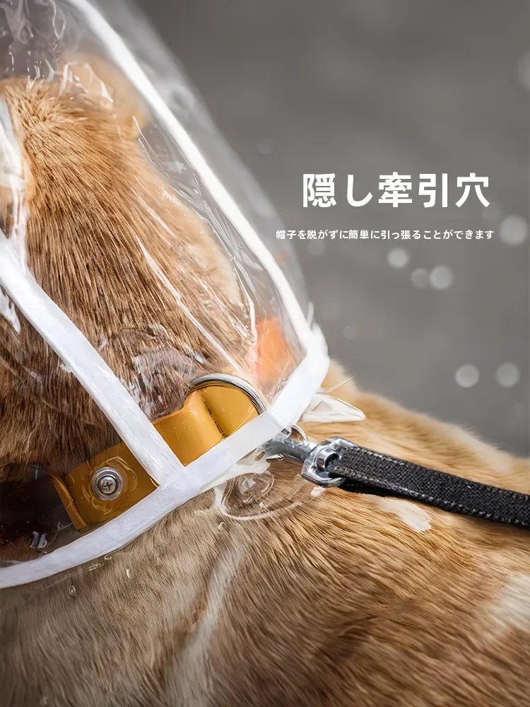 中型犬用レインコートの選定基準：透明デザインとお腹保護が実用性を支える