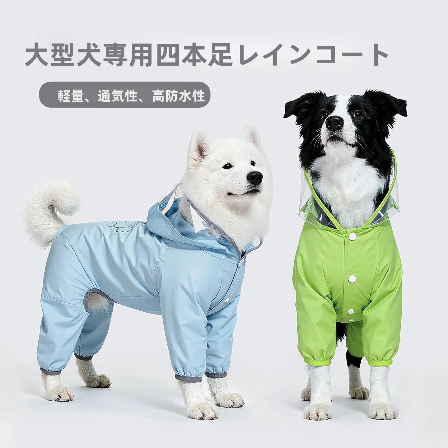 犬のお散歩グッズをコスパ良く揃える方法｜四本足フルカバーの実測ガイド