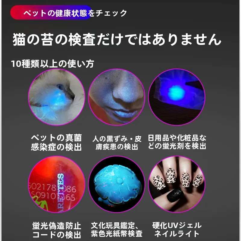猫との日常を彩る、充電式レーザーポインターは今、なぜ人気なのか？