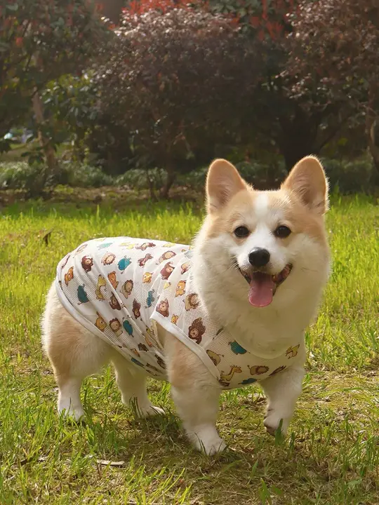 春夏用犬服【柴犬やコーギーに最適・軽量・毛が抜けにくい・UVカット】