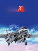 グラマンF14Aトムキャット 舰載戦闘機模型【一部塗装済み・詳細再現】