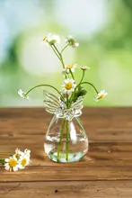 かわいいエンジェルデザインのミニガラス花瓶【水耕植物・グリーン適用】