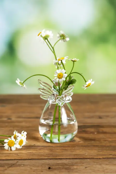 かわいいエンジェルデザインのミニガラス花瓶【水耕植物・グリーン適用】