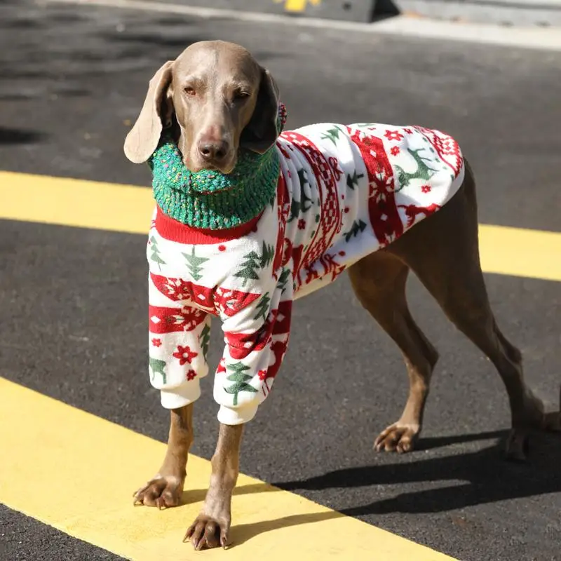 中型犬 レインコート おすすめの選定基準と実用性の検証