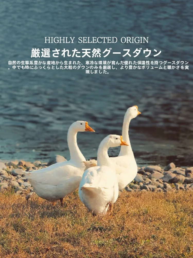 ダニの大きさを知る前に、この布団がどうやって家を「清潔」にしてくれるのか？