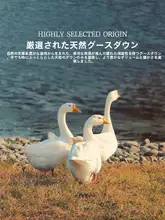 ホワイトグースダウン布団 子供用 低アレルゲン 保温 抗菌 冬用 布団