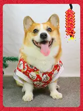 秋冬用ペットウェア【可愛いデザイン・コーギー・テディベアタイプ・中型犬用】