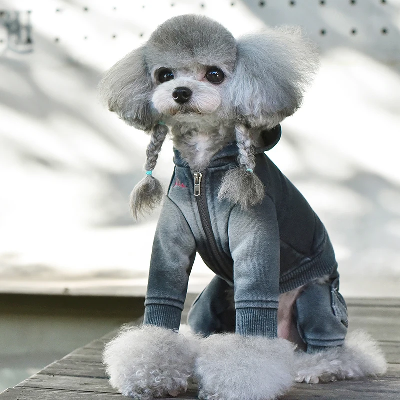 犬のお散歩グッズをコスパ良く揃える方法｜デニム素材の選び方とサイズガイド