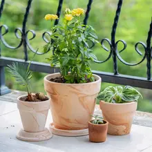 赤陶製 幅広の観葉植物用プランター【吸水・通気性・受け皿付き】