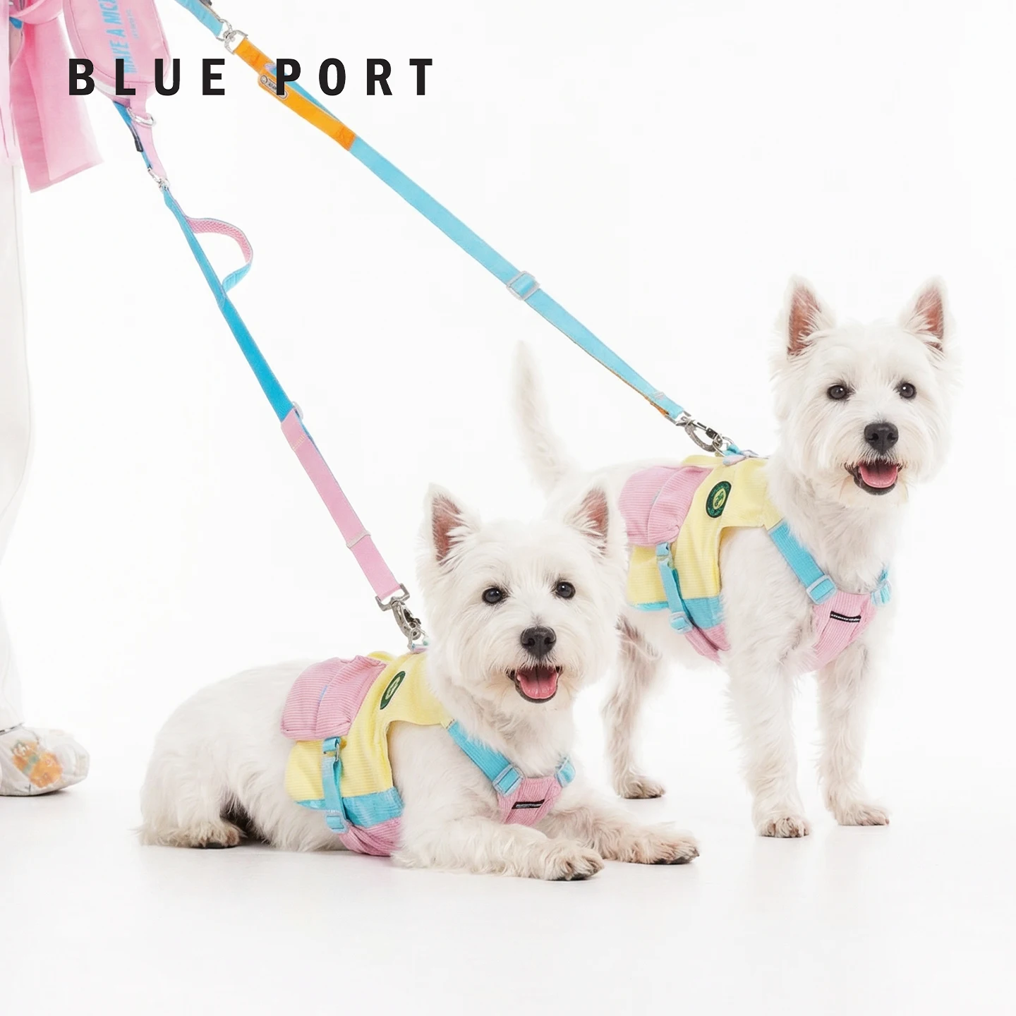 軽量防晒の犬用工装ベスト：春夏向け小中型犬のアウトドアファッションガイド