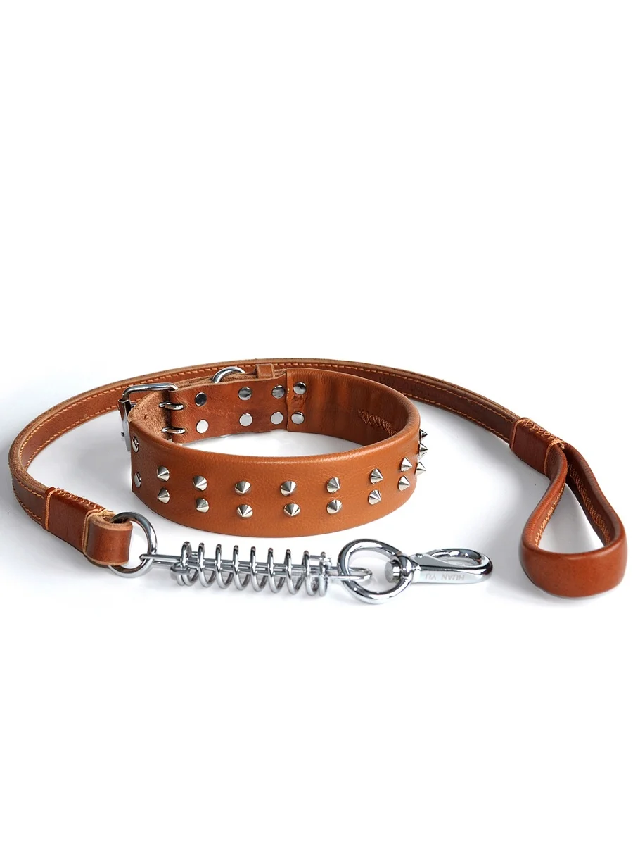 犬のお散歩グッズをコスパ良く揃える方法｜革製セットの使い勝手と選び方の徹底解説