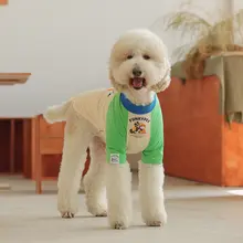 カラフルなカートゥーンデザインの犬用Tシャツ【春夏用・薄手・中大型犬対応】（セットアップ対応）
