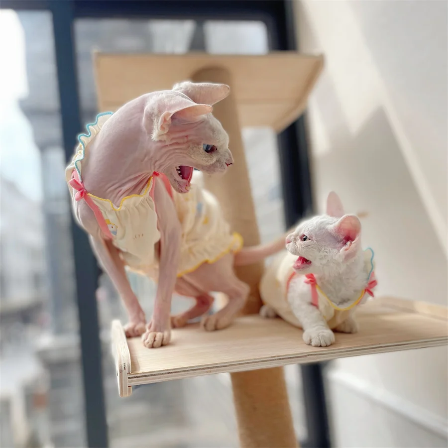 揃えるミニマリスト部屋づくりアイテム | 機能と温かみのバランスを実現する完全ガイド