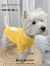 秋冬用ペットウェア【犬猫用・暖かいフード付き・小型犬対応】