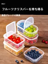 ピクニック用 フルーツランチボックス【食品級・密閉式・持ち運び便利】