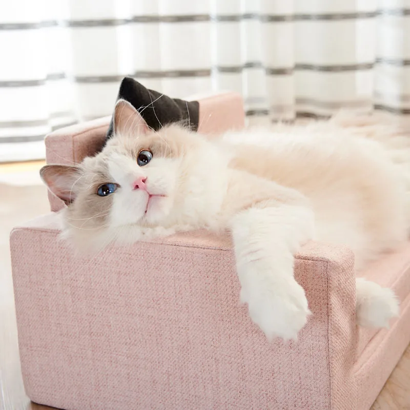 猫飼いが買ってよかったもの・悪かったもの正直に言う | 猫用ソファベッドオールシーズンモデルの実用性と設計原理
