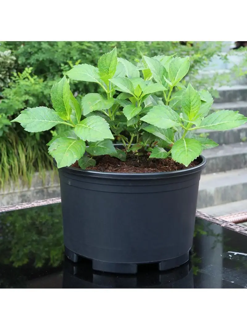 特大サイズのガーデニング用プランター：広い植え付けスペースでほったらかしで毎年咲く花を育てる