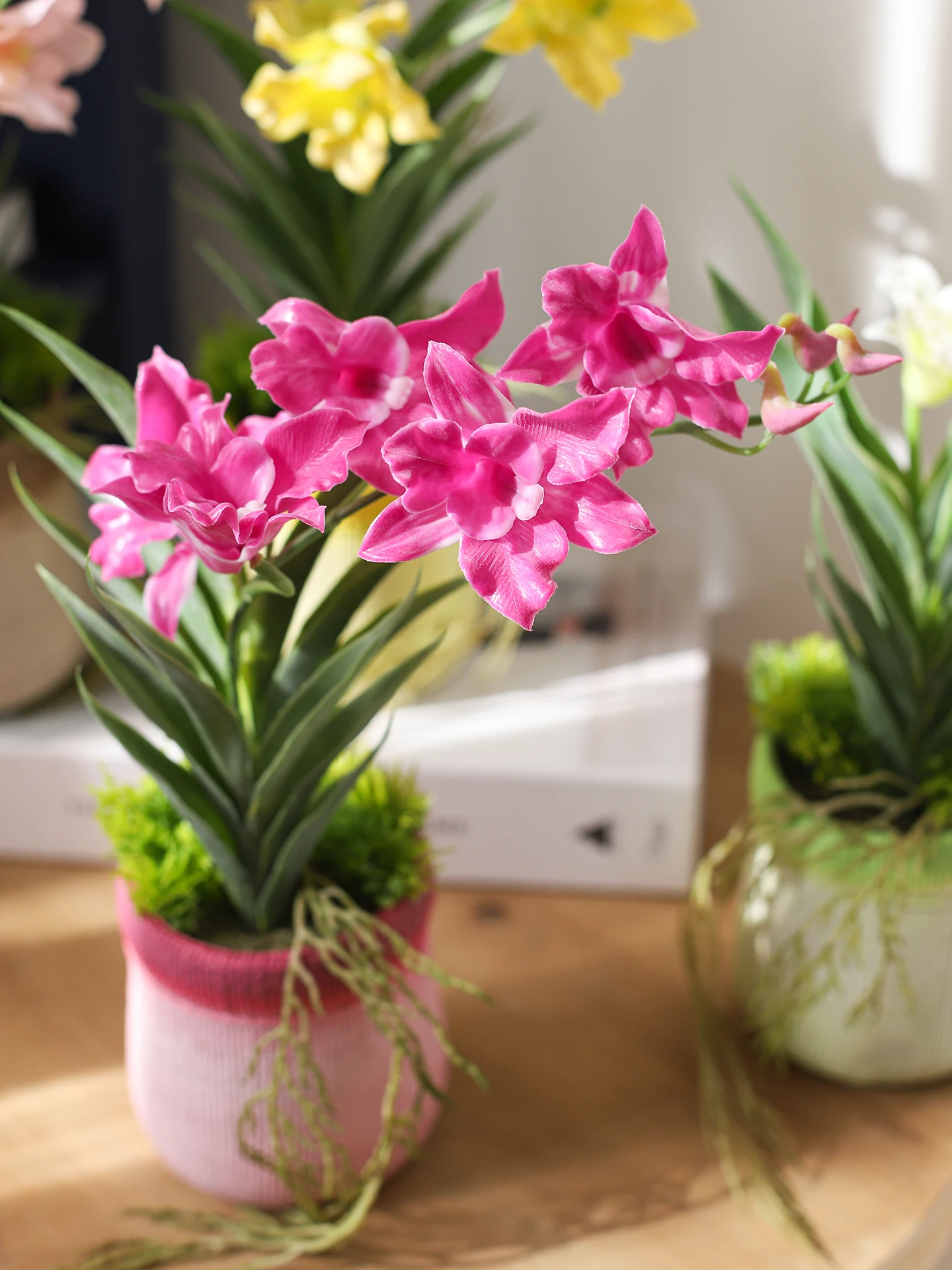 鉢植えの花を贈るとき、どうやって選べばいいの？