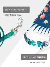 猫用ハーネス付きリード【防脱走・外出用・小型犬対応】