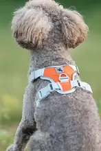 ハーネス式ペット用リード【中小型犬用・Bichon Frise向け・快適なデザイン】