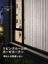 半透明のレースカーテン【フランス風・ロマンティックデザイン・リビングルーム用】
