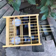 小型鳥かご 小型 竹製 水抜きデザイン