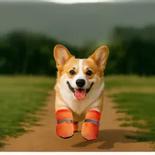 小型犬用ソフト底シューズ【汚れ防止・コーギー・テディ・ビション・夏用】