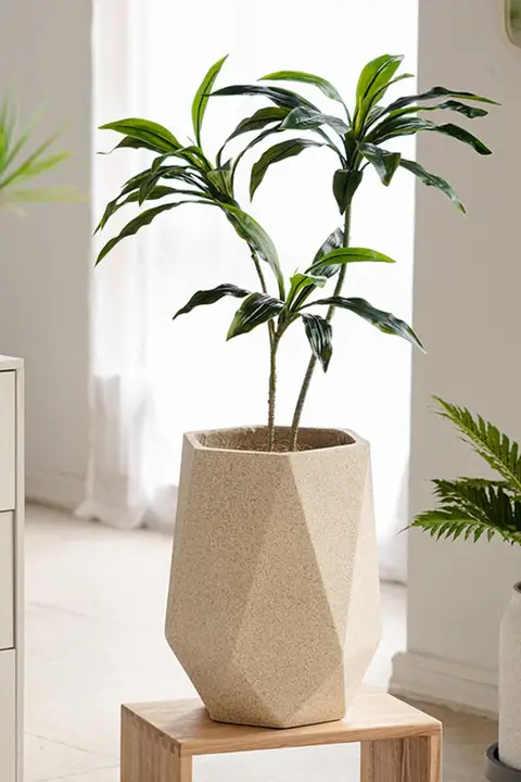 大きな鉢 植物 バルコニー リビング 陶器 ミニマル デザイン