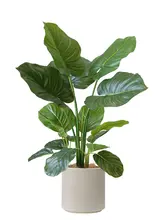 フェイクプランツ スイカ葉 屋内 小さな観葉植物 インテリア