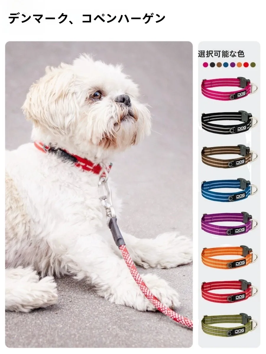 犬のお散歩グッズをコスパ良く揃える方法　完全ガイド