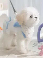犬用カラフルリボン付きキャミソールドレス【夏用・毛が抜けにくい・薄手・ビションフリーゼ・テディベア型】