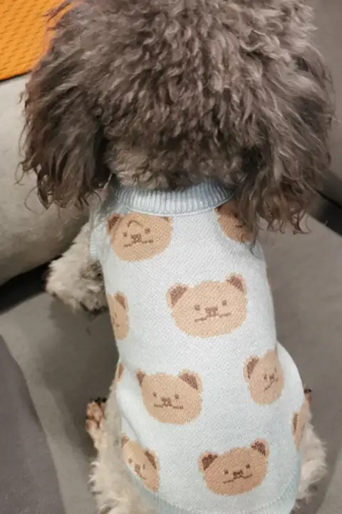 印刷されたパンダ柄犬服【秋冬用・厚手のセーター・保温・小型犬用】