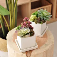 リアルな多肉植物の鉢 陶器鉢 装飾品 植物の置物