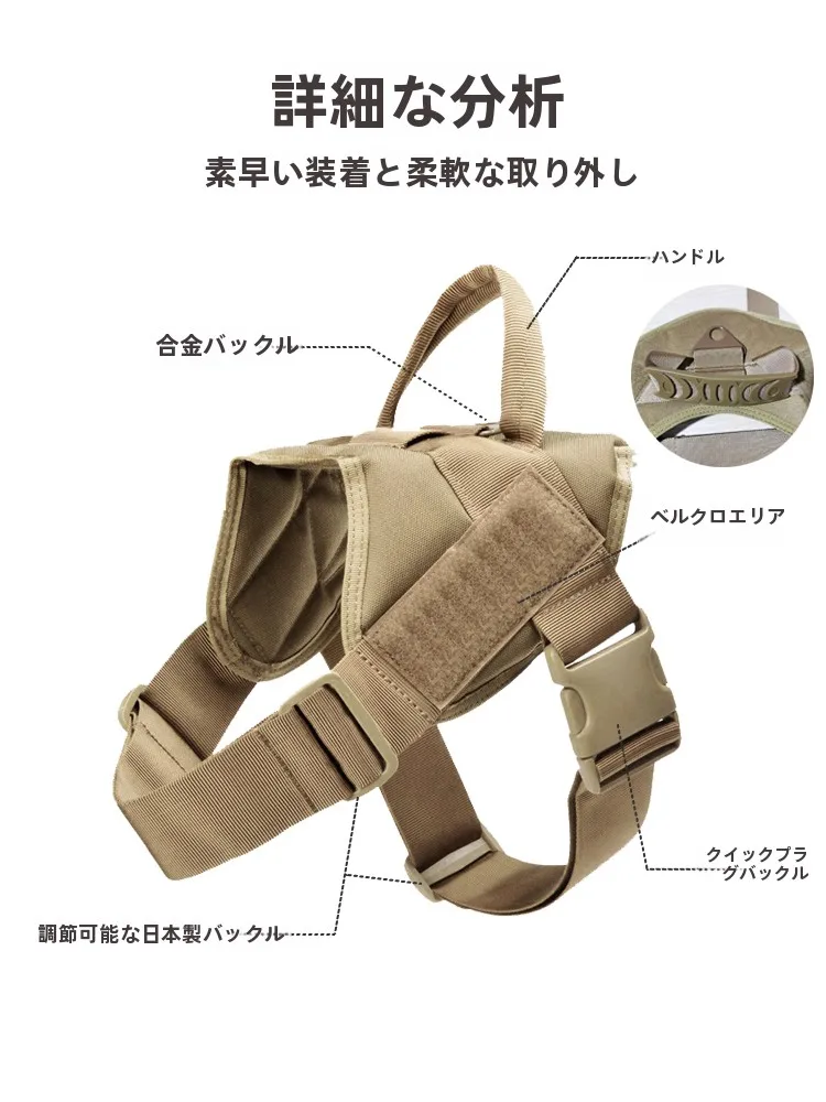 犬のお散歩グッズをコスパ良く揃える方法｜実測でわかるストレス軽減の秘訣