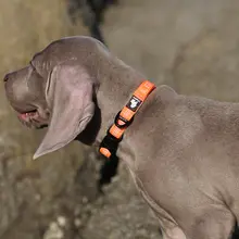 首輪 犬用 首輪 小型犬 中型犬 大型犬 ゴールデンレトリバー ペット用品