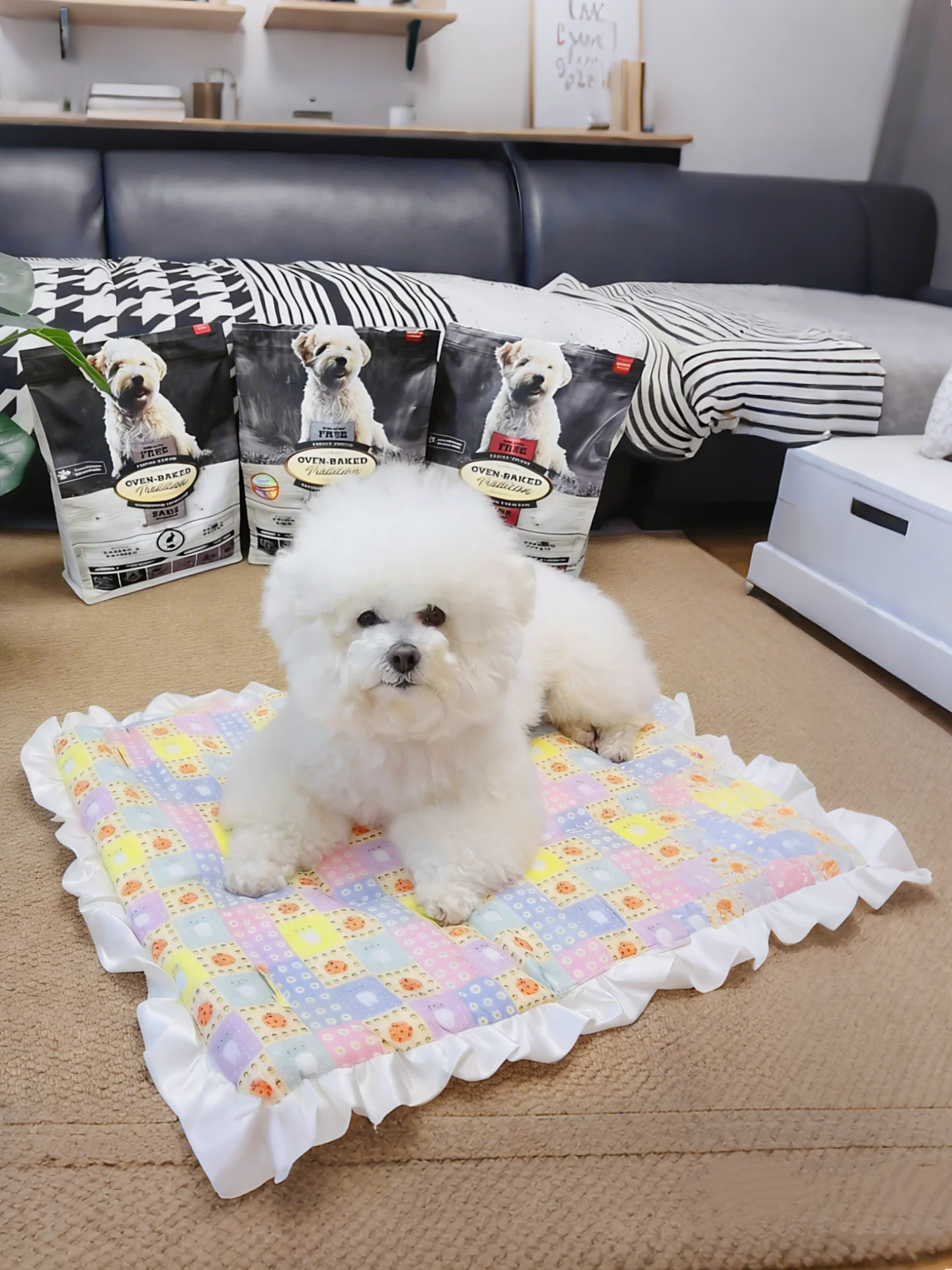 犬ズッキーニとは？夏用冷却マットの実際の性能と使い方を解説
