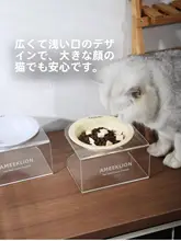 猫用陶器フードボウル【高脚・柔らかい素材・水分補給用】