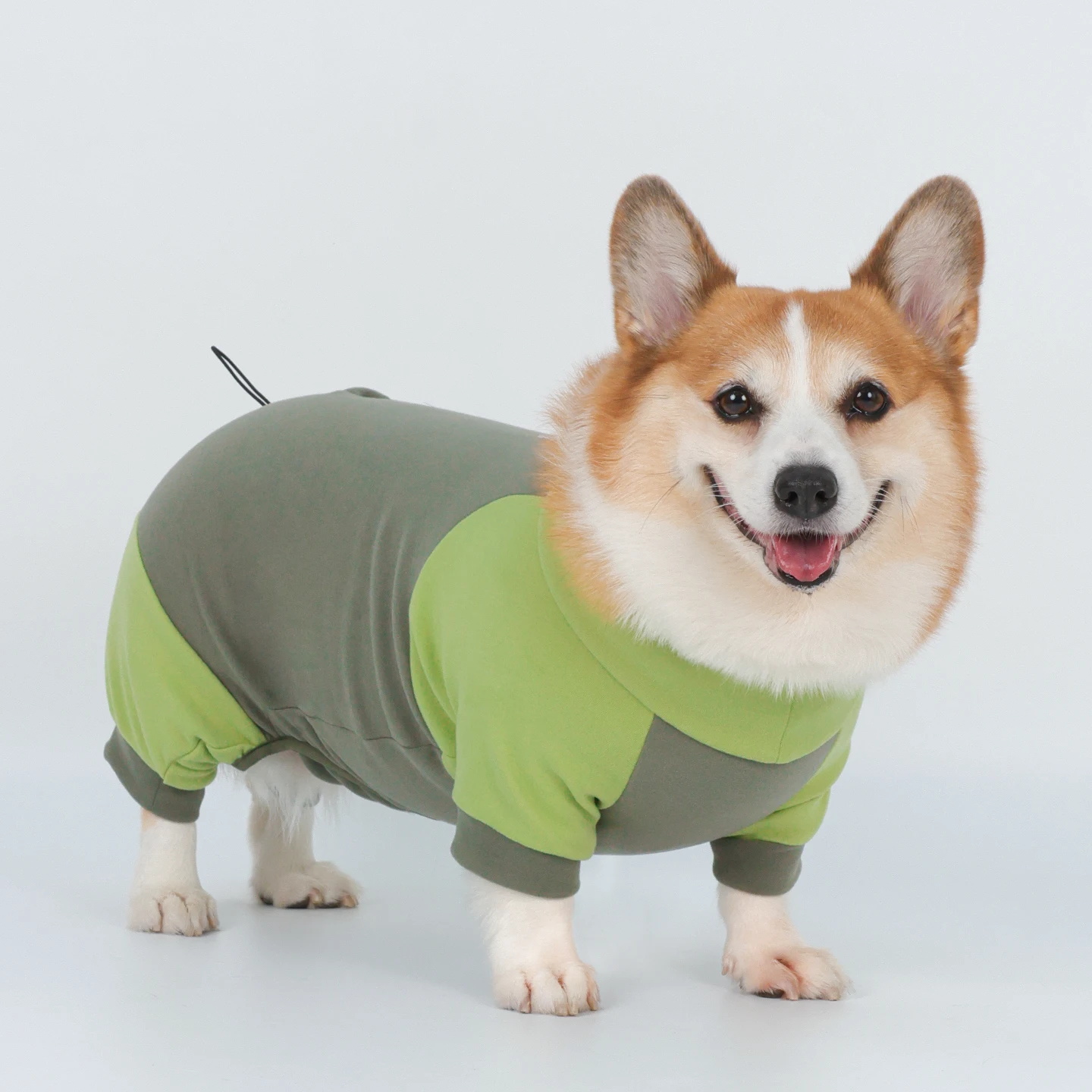 犬用四脚保温服：秋冬季节通用型保暖解决方案