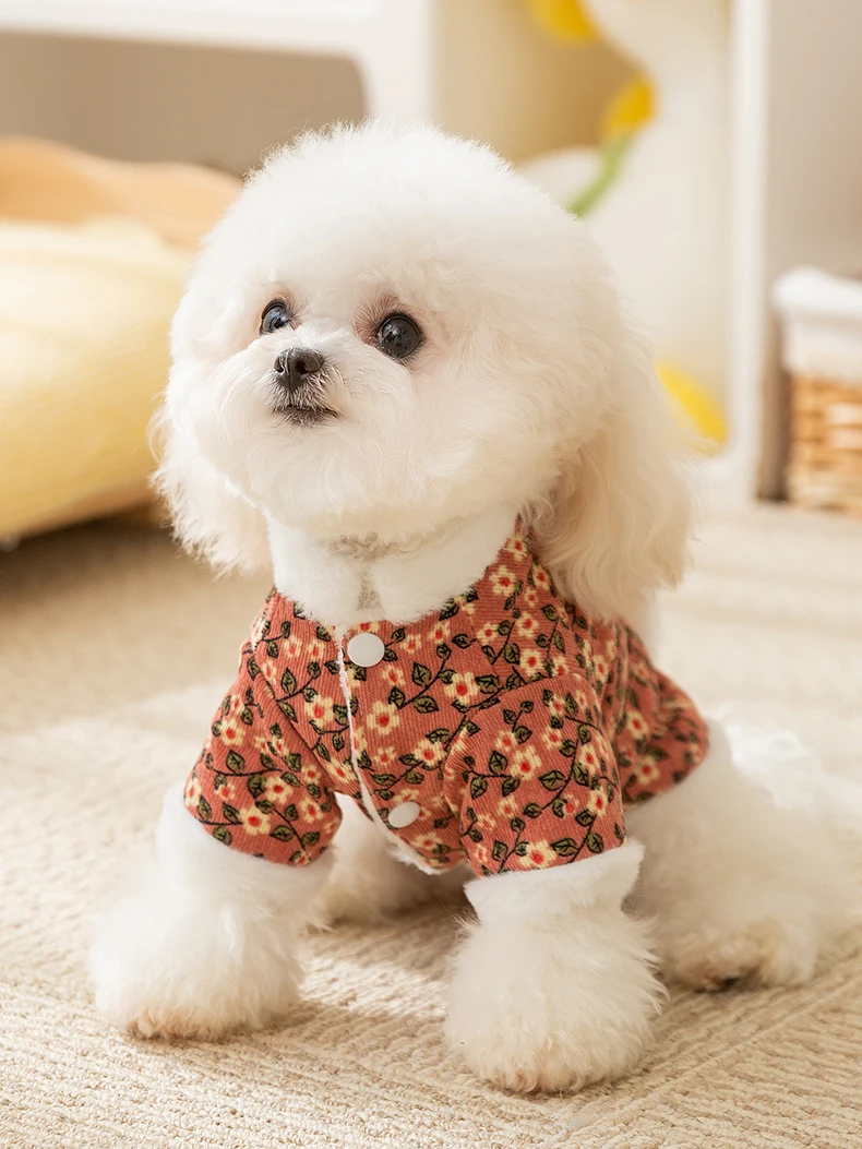 犬用服 秋冬 厚手 保温：中型犬向けの実用性とサイズ選定ガイド