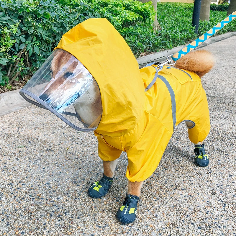 犬のお散歩グッズをコスパ良く揃える方法｜失敗しない選び方の完全ガイド