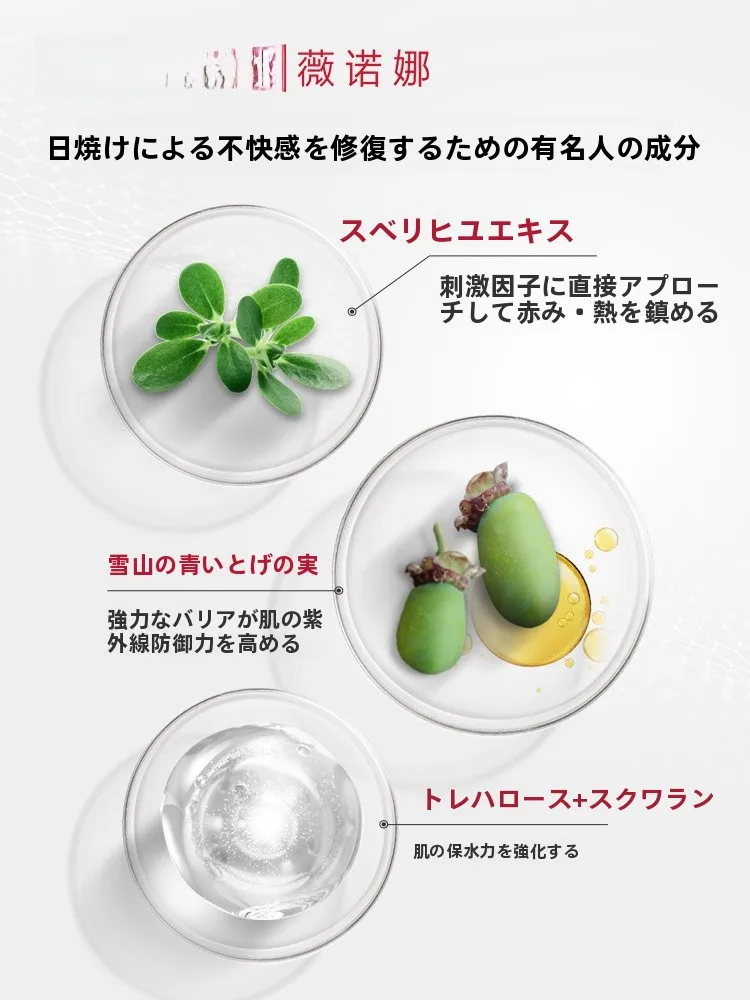 プライマー 韓国 と 日本の日焼け止めで迷うなら、この1本が救う？