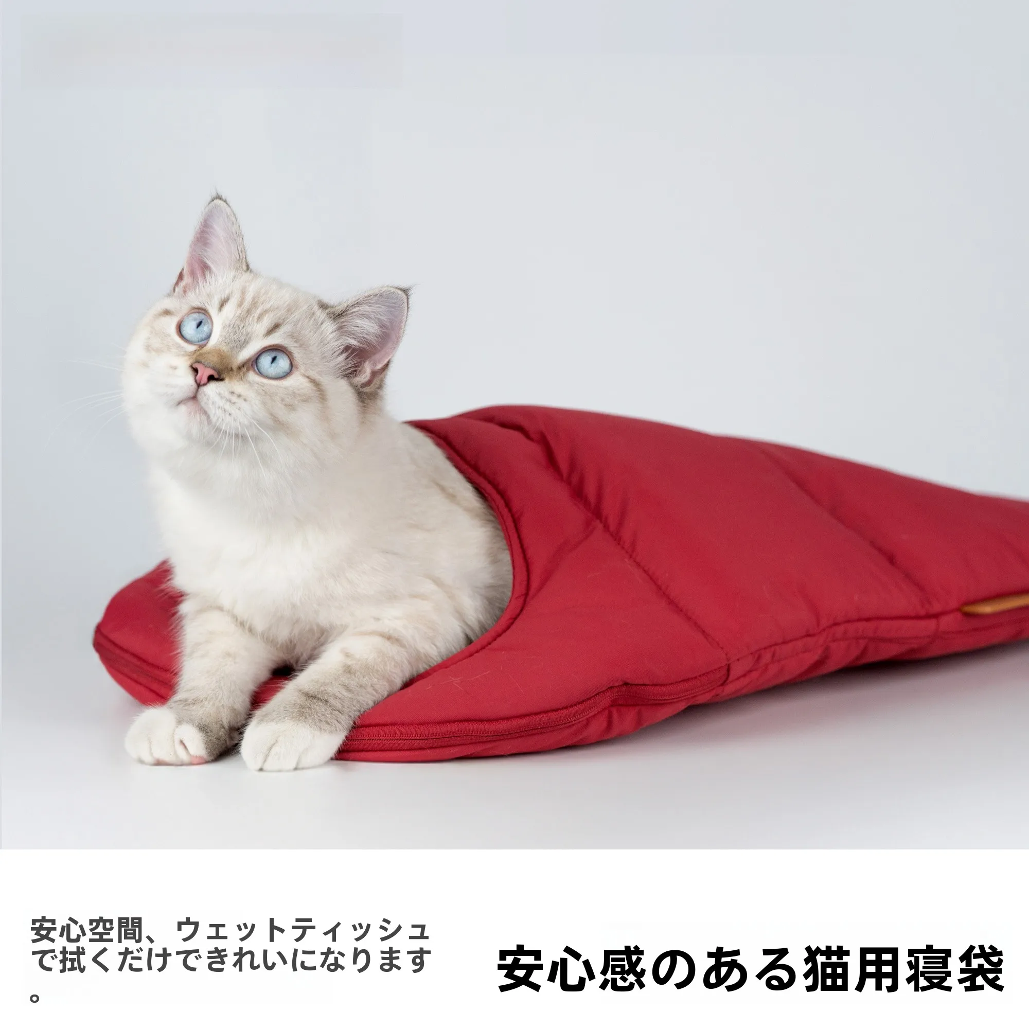 快適な猫床ブランケット：一人暮らしに最適な耐scratching・洗えるタイプの使い方