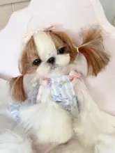ペット服 型紙 犬 猫 プリンセスドレス かぶりタイプ トイプードル ビションフリーゼ 小  型犬 手作り ワンピース