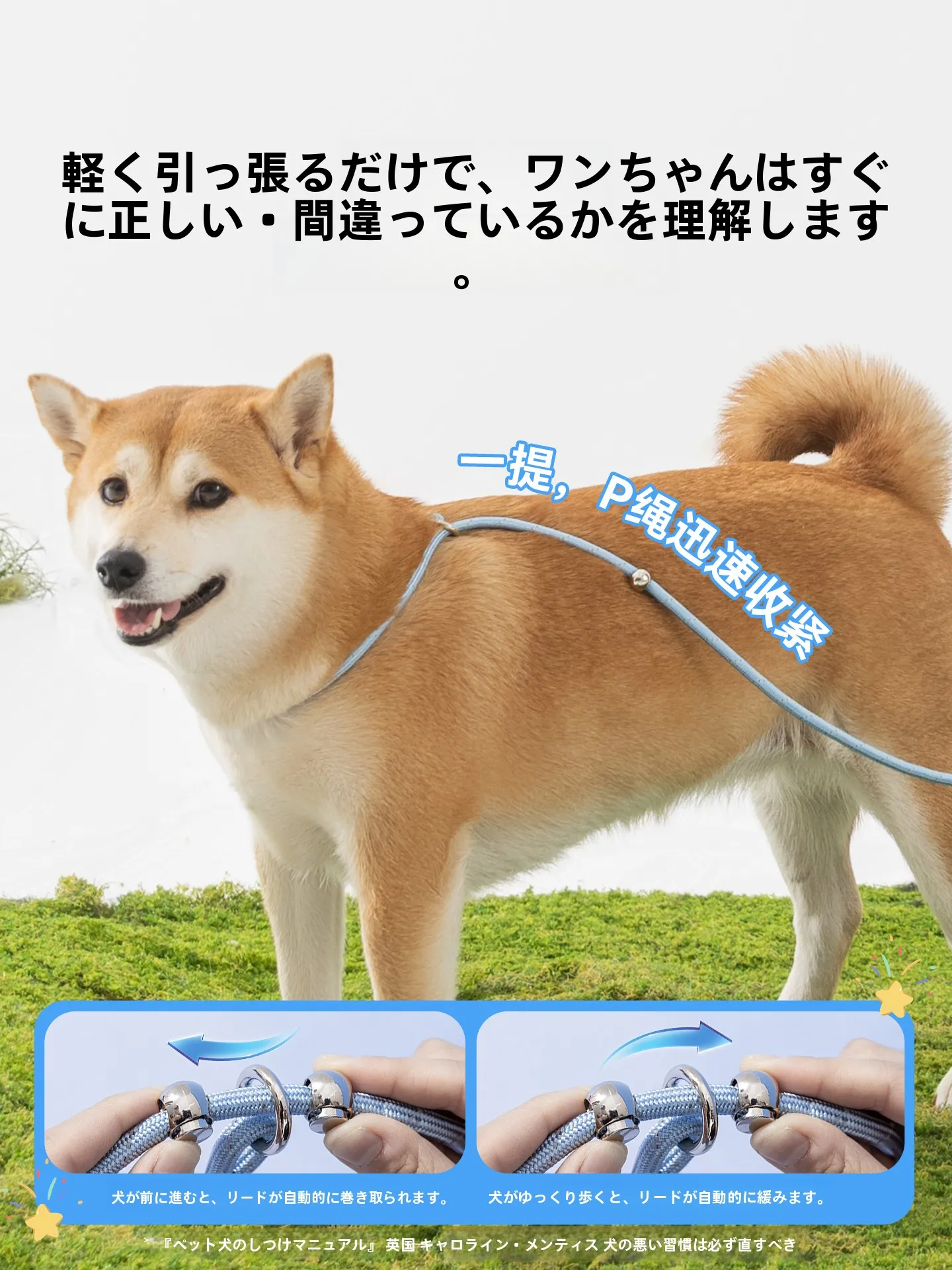 hipidog 小型犬用リード ハーネス：軽量かつ丈夫な散歩サポートの実用性を検証