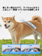 hipidog 小型犬用 ペット用リード【快適な散歩に最適・軽量・丈夫】