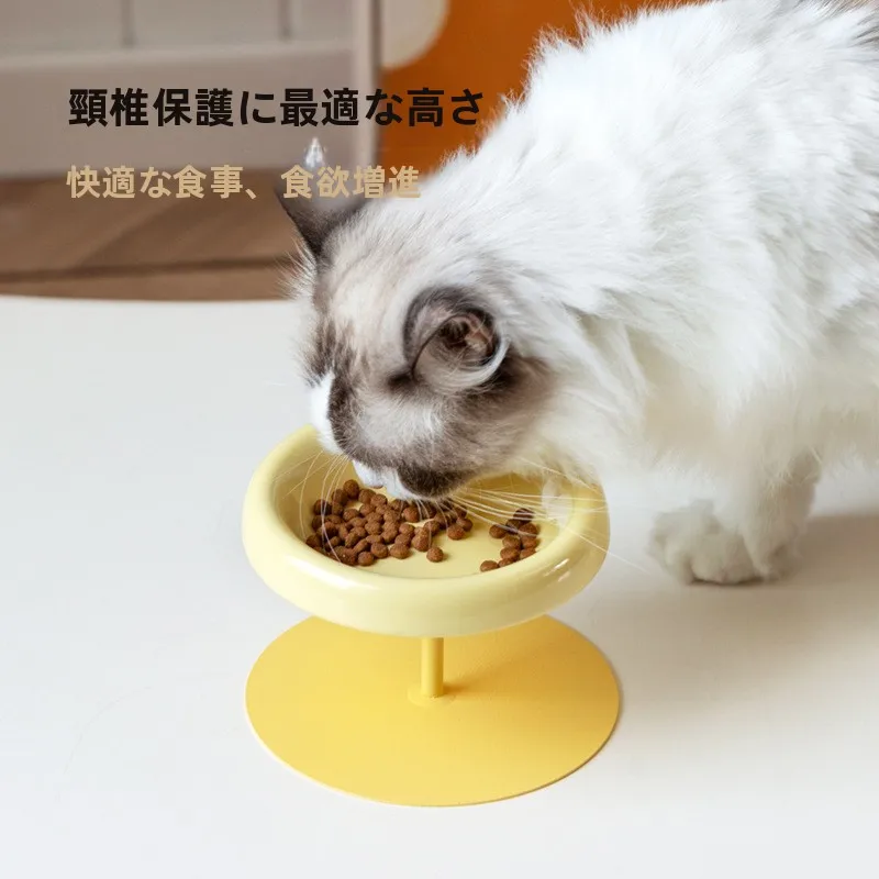猫のフードボウルをどう選ぶ？見た目と使い勝手のバランスが鍵になる