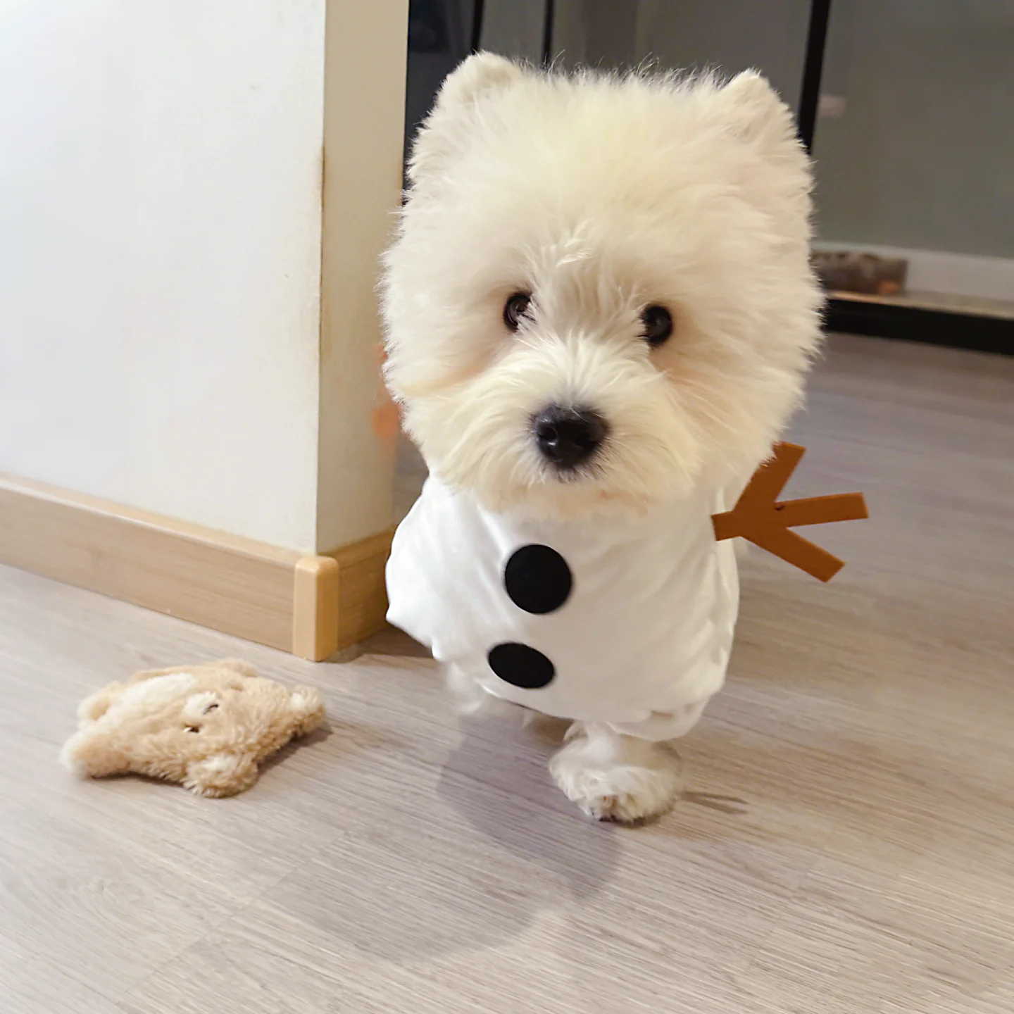 冬用ペット用雪人デザインウェア：クリスマスに犬をプレゼントする際の最適なグッズ